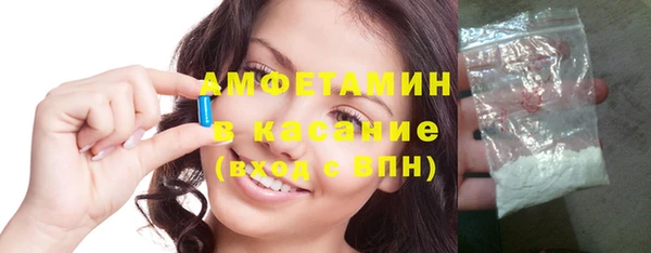 молекула духа Богородицк