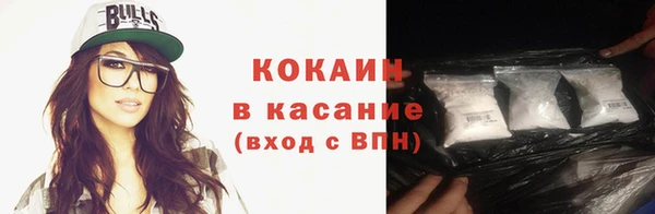 молекула духа Богородицк
