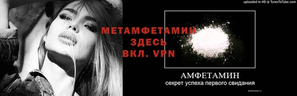 молекула духа Богородицк