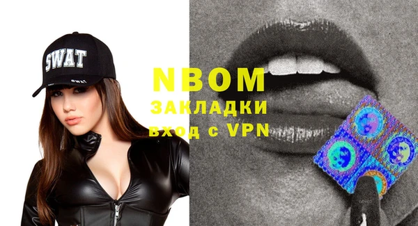 молекула духа Богородицк