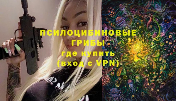 молекула духа Богородицк