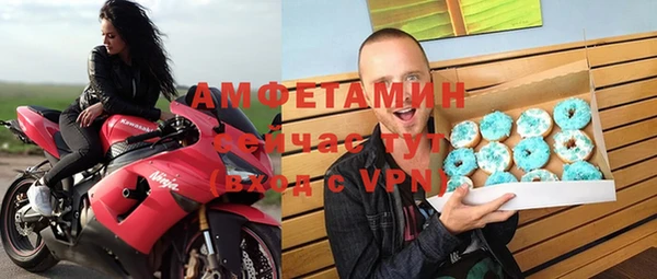 молекула духа Богородицк