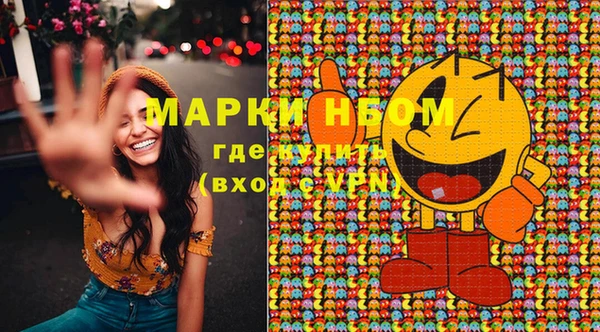 молекула духа Богородицк