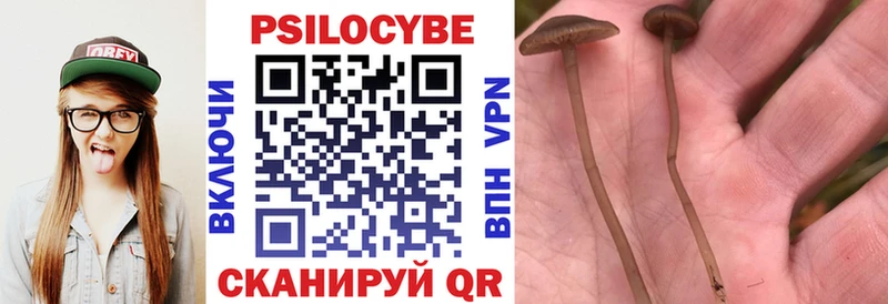 Псилоцибиновые грибы ЛСД  даркнет сайт  Тулун 